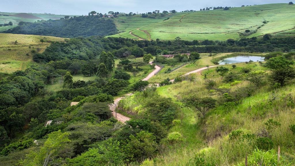 Rain Farm Game Lodge uMhlali Esterno foto